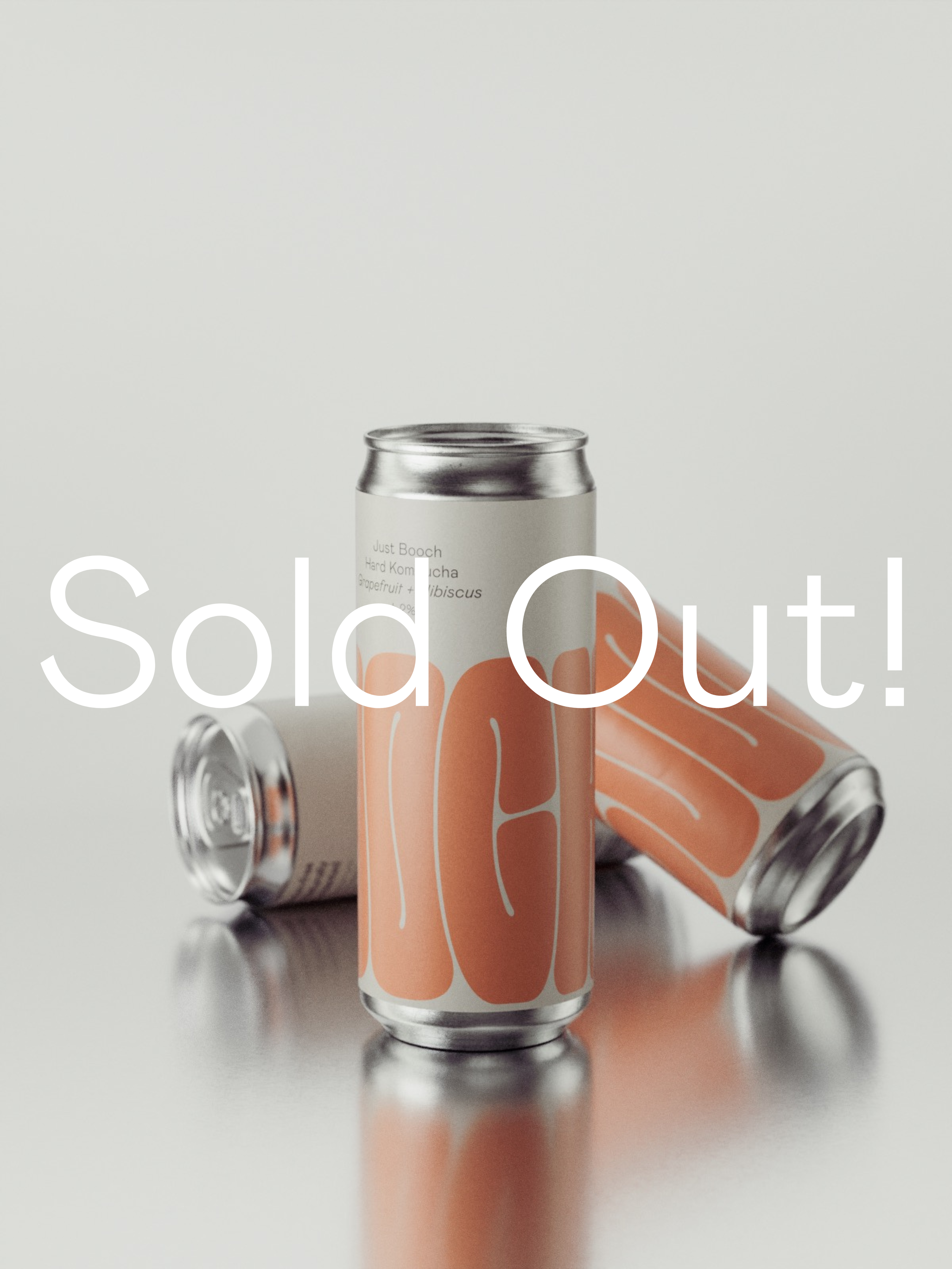 Hard Kombucha | Sold Out