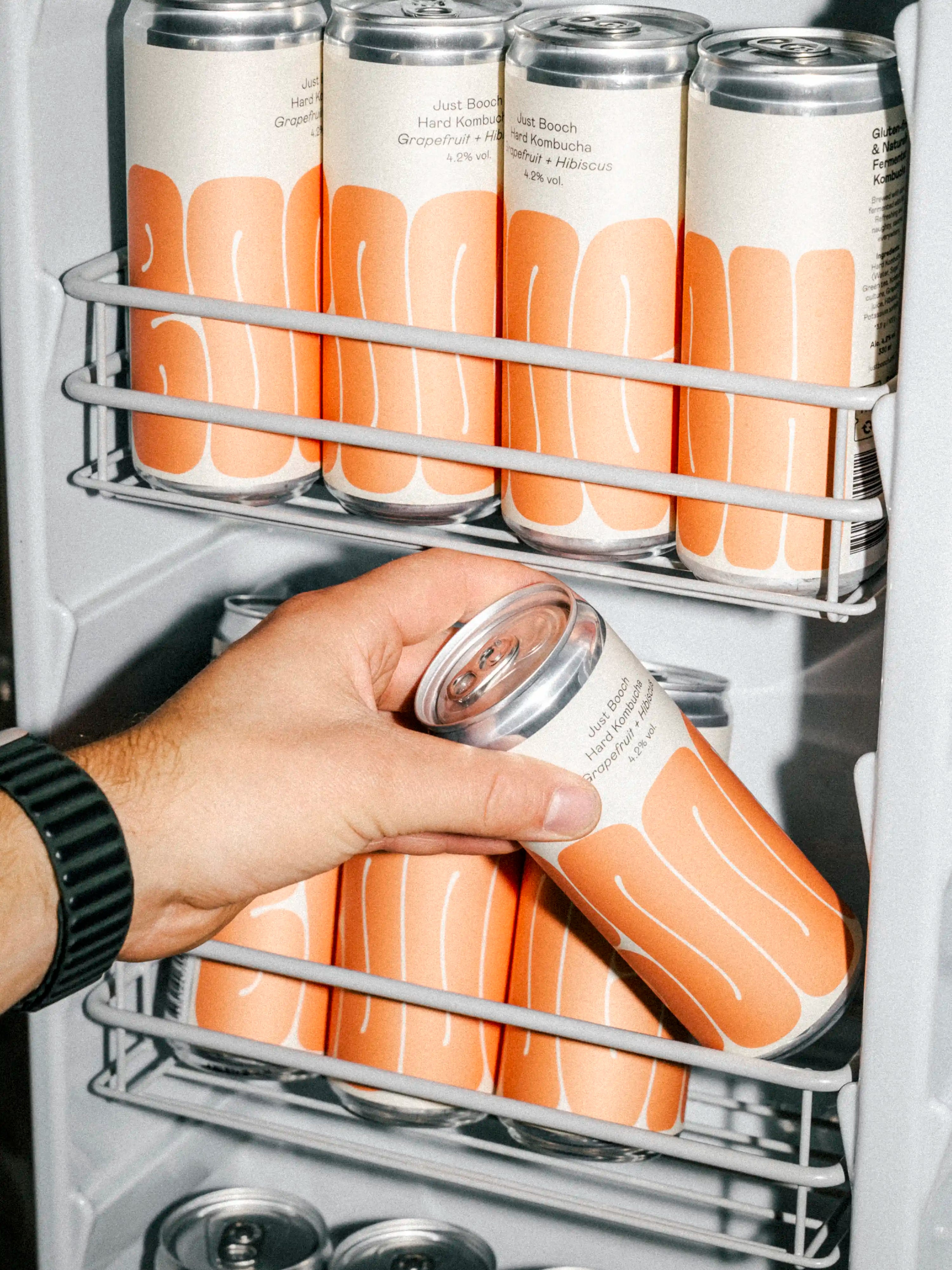 Hard Kombucha | 6-pack