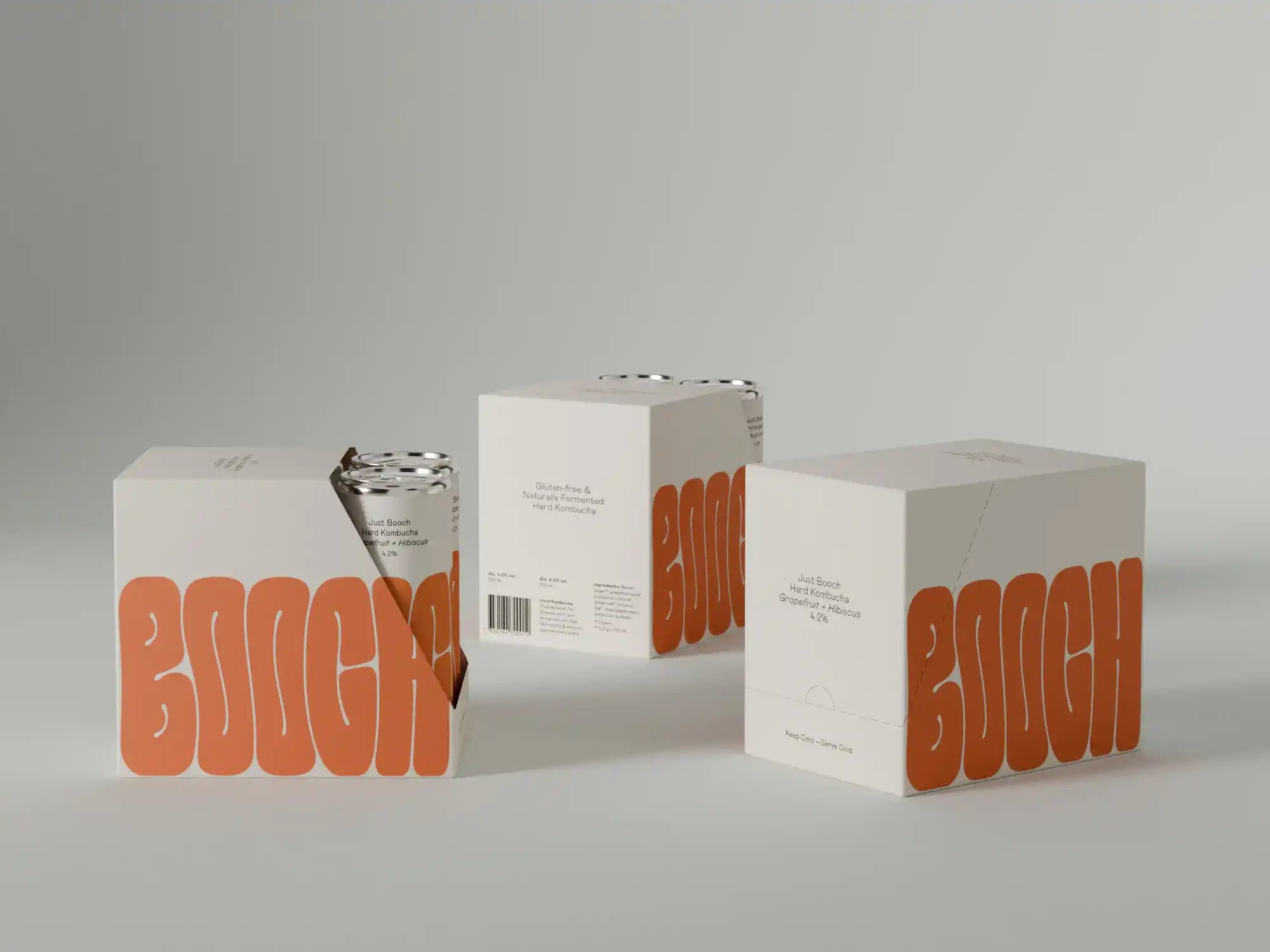 Hard Kombucha | 6-pack