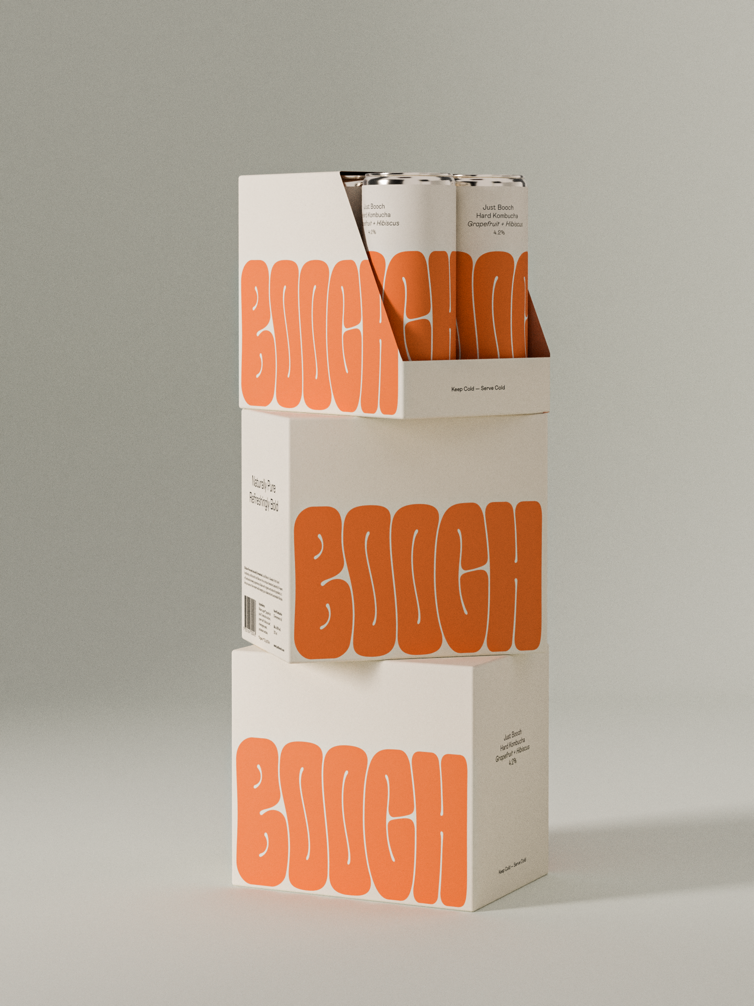Hard Kombucha | 6-pack