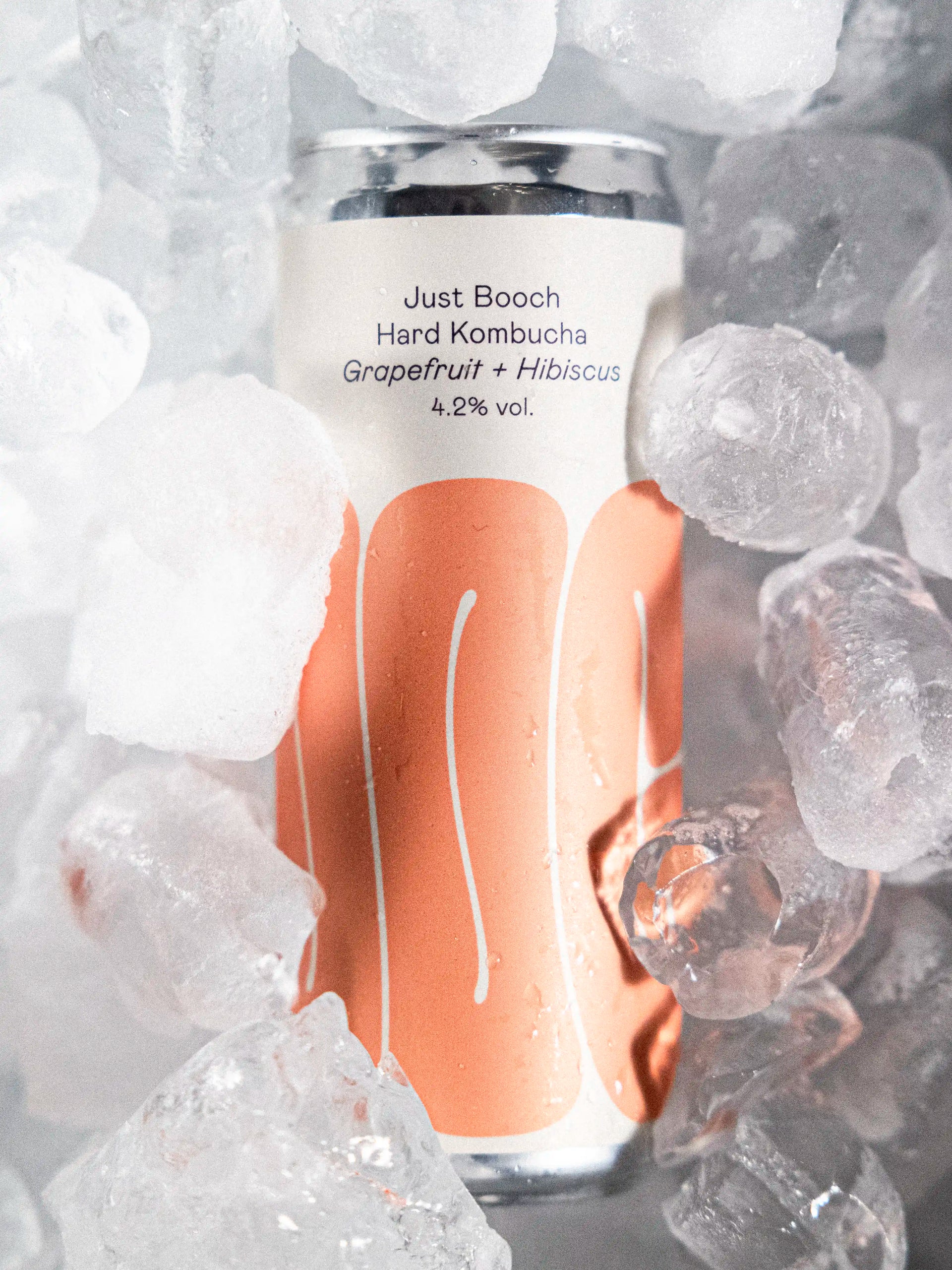 Grapefruit + Hibiscus | 6-pack – Just Booch
