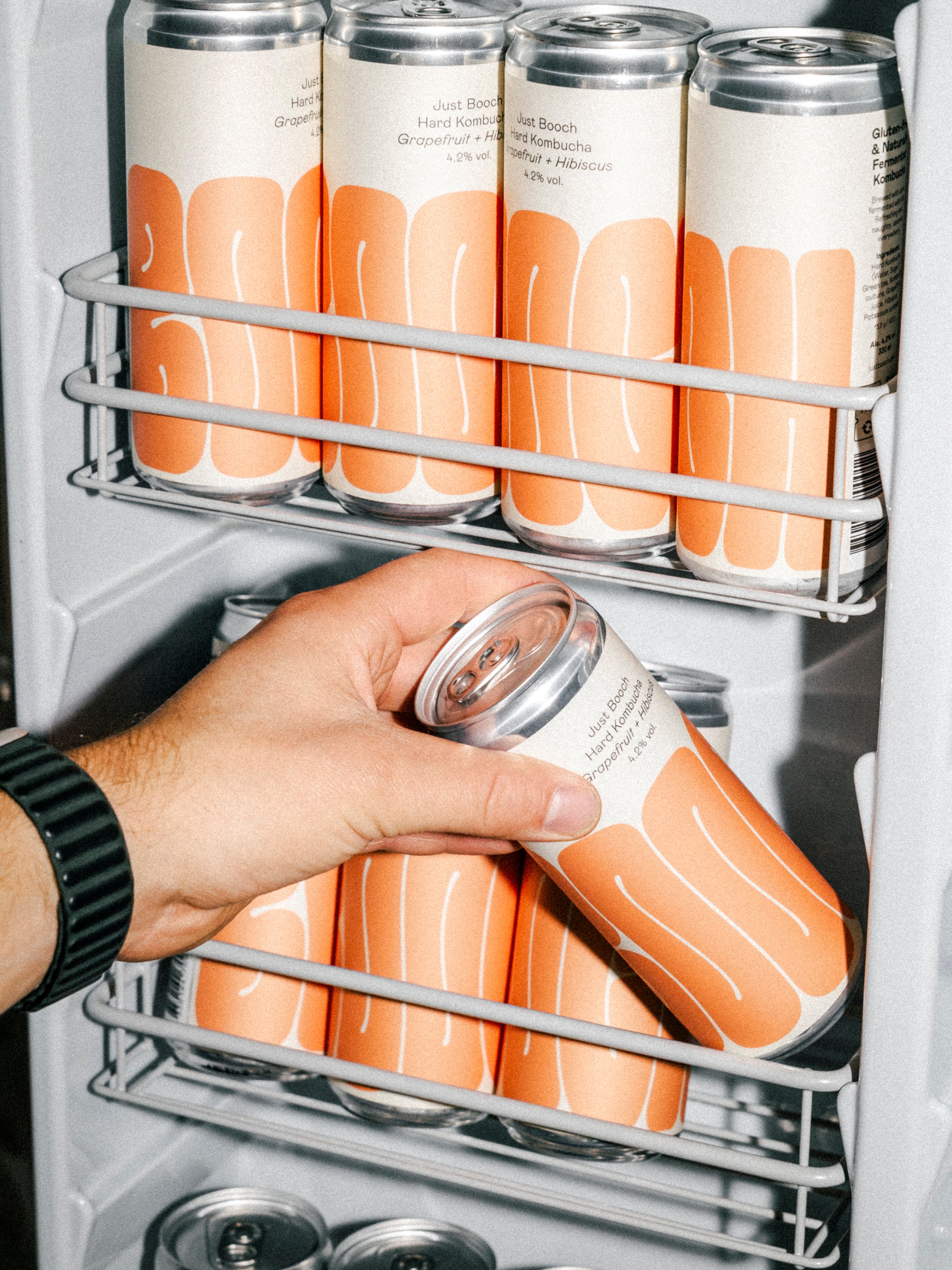 Hard Kombucha | 6-pack